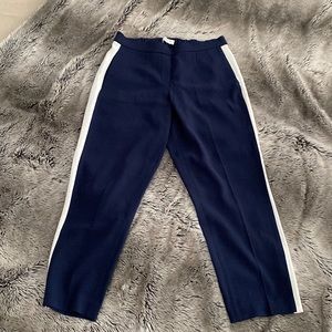Aritzia Babaton Conan Pants